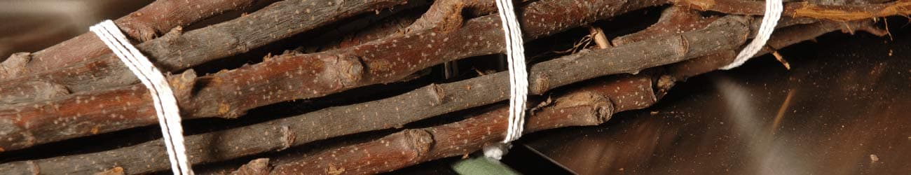 Koordbinders voor bomen